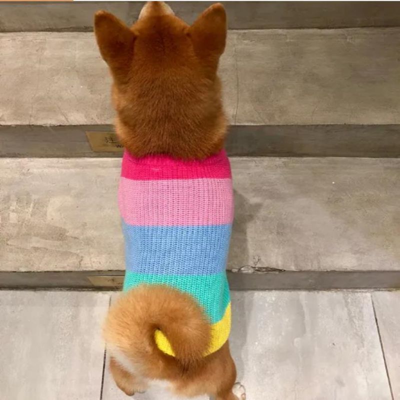 Hersteller kundenspezifischer Winter Baumwollgestrickte Katzenschichten Pullover für Haustiere